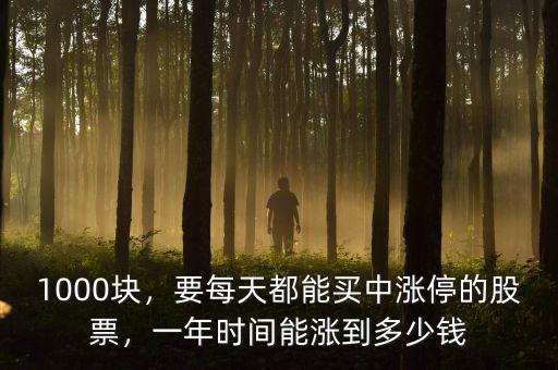 1000塊，要每天都能買中漲停的股票，一年時(shí)間能漲到多少錢