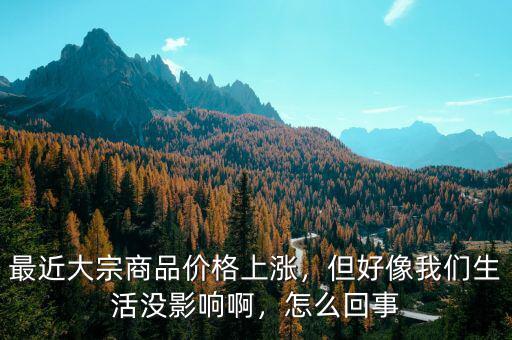 最近大宗商品價格上漲，但好像我們生活沒影響啊，怎么回事