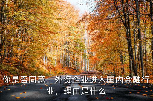 你是否同意：外資企業(yè)進(jìn)入國內(nèi)金融行業(yè)，理由是什么