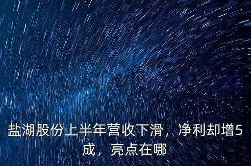 鹽湖股份上半年?duì)I收下滑，凈利卻增5成，亮點(diǎn)在哪