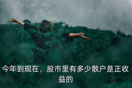 今年到現(xiàn)在，股市里有多少散戶是正收益的