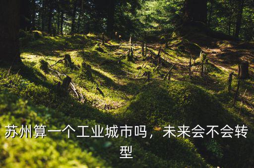 蘇州算一個(gè)工業(yè)城市嗎，未來會(huì)不會(huì)轉(zhuǎn)型