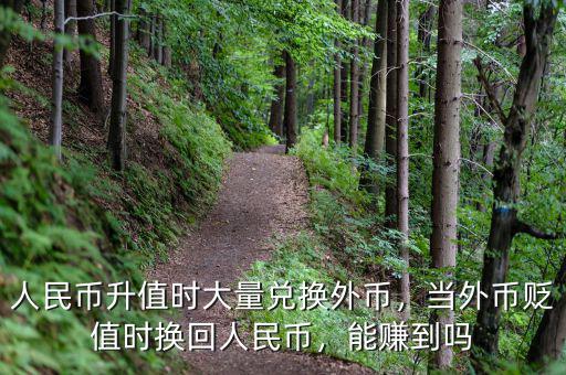 人民幣升值時(shí)大量?jī)稉Q外幣，當(dāng)外幣貶值時(shí)換回人民幣，能賺到嗎