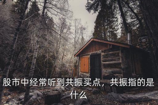 什么是分時線低點(diǎn)共振,共振指的是什么