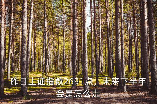 昨日上證指數(shù)2691點(diǎn)，未來(lái)下半年會(huì)是怎么走