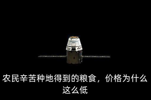 農(nóng)民辛苦種地得到的糧食，價(jià)格為什么這么低