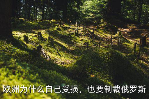 歐洲為什么自己受損，也要制裁俄羅斯