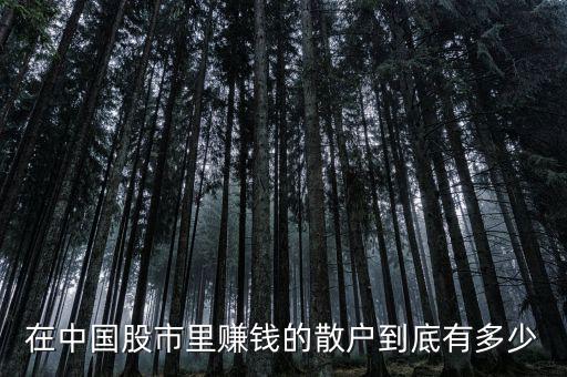 多少錢(qián)是散戶(hù),每年虧多少錢(qián)