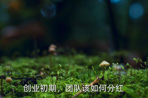 創(chuàng)業(yè)初期，團(tuán)隊(duì)該如何分紅