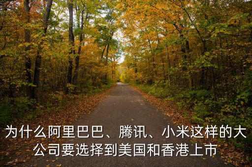 為什么阿里巴巴、騰訊、小米這樣的大公司要選擇到美國(guó)和香港上市