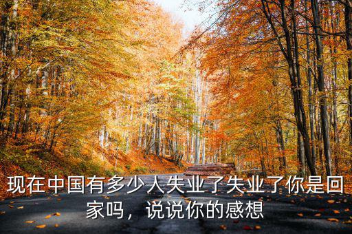 現(xiàn)在中國(guó)有多少人失業(yè)了失業(yè)了你是回家嗎，說說你的感想