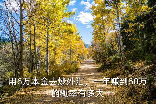 用6萬本金去炒外匯，一年賺到60萬的概率有多大