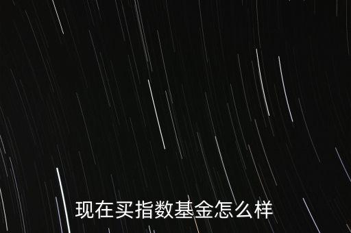 001396基金怎么樣,現(xiàn)在買(mǎi)指數(shù)基金怎么樣
