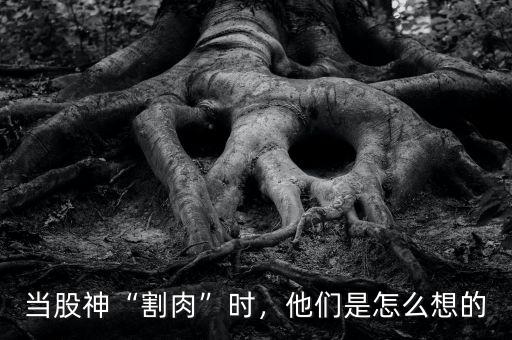 當(dāng)股神“割肉”時，他們是怎么想的