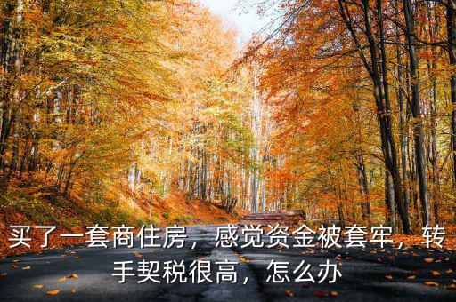 買了一套商住房，感覺資金被套牢，轉(zhuǎn)手契稅很高，怎么辦