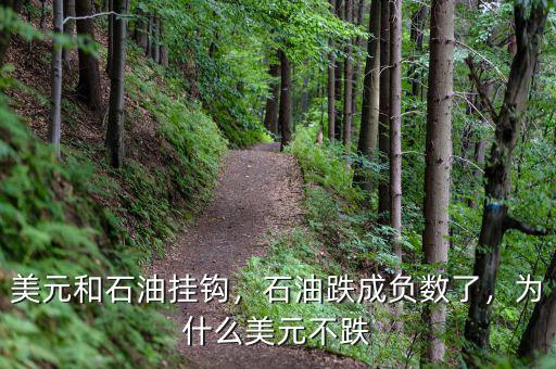 美元和石油掛鉤，石油跌成負數(shù)了，為什么美元不跌