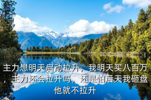 主力想明天啟動(dòng)拉升，我明天買八百萬，主力還會(huì)拉升嗎，還是怕后天我砸盤他就不拉升