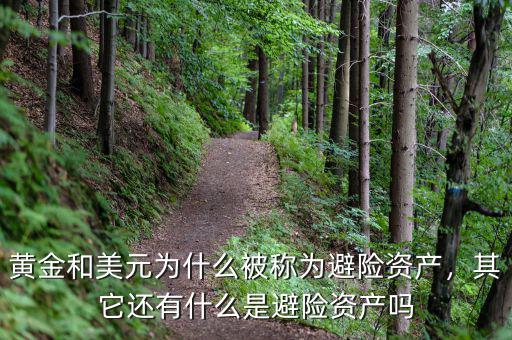 黃金和美元為什么被稱為避險資產(chǎn)，其它還有什么是避險資產(chǎn)嗎
