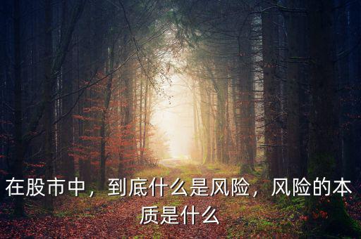 在股市中，到底什么是風(fēng)險(xiǎn)，風(fēng)險(xiǎn)的本質(zhì)是什么
