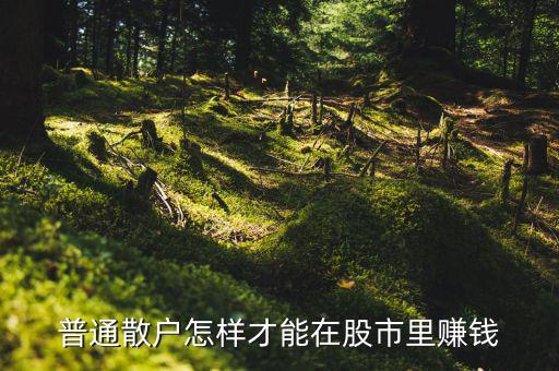 散戶(hù)怎么賺錢(qián),假若散戶(hù)都不炒股了