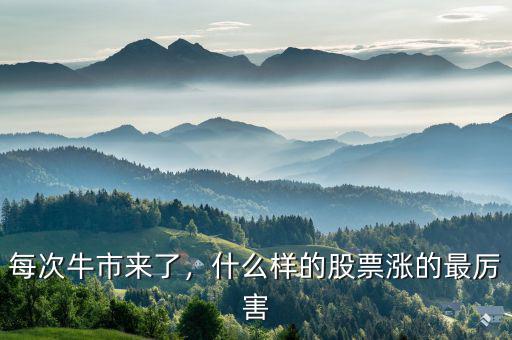 什么樣的股票會(huì)漲,什么類型的股票你覺(jué)得會(huì)漲