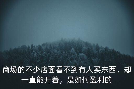 商場(chǎng)的不少店面看不到有人買東西，卻一直能開著，是如何盈利的