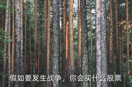 假如要發(fā)生戰(zhàn)爭，你會買什么股票