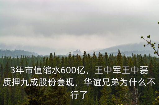 3年市值縮水600億，王中軍王中磊質押九成股份套現(xiàn)，華誼兄弟為什么不行了