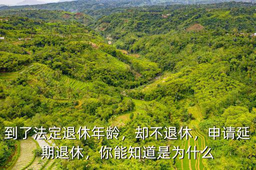 到了法定退休年齡，卻不退休，申請延期退休，你能知道是為什么