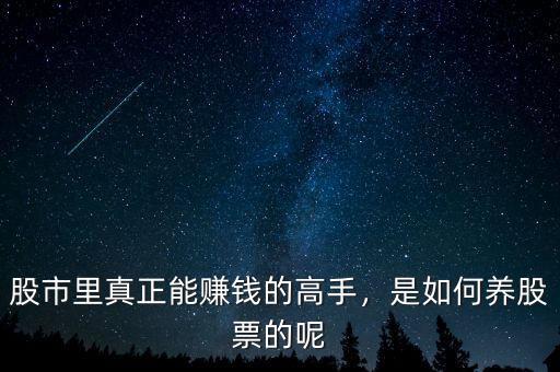 股市里真正能賺錢的高手，是如何養(yǎng)股票的呢