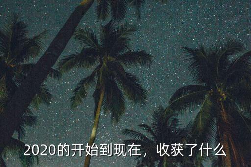 2020的開(kāi)始到現(xiàn)在，收獲了什么