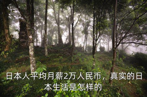 日本人平均月薪2萬(wàn)人民幣，真實(shí)的日本生活是怎樣的