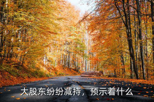 大股東紛紛減持，預(yù)示著什么