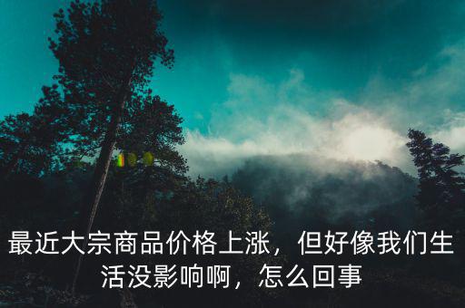 最近大宗商品價格上漲，但好像我們生活沒影響啊，怎么回事