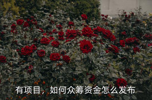 有項(xiàng)目，如何眾籌資金怎么發(fā)布
