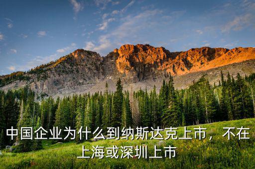 中國(guó)企業(yè)為什么到納斯達(dá)克上市，不在上?；蛏钲谏鲜? class=