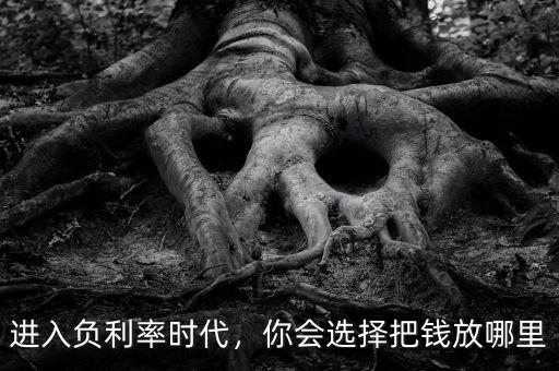 進(jìn)入負(fù)利率時代，你會選擇把錢放哪里