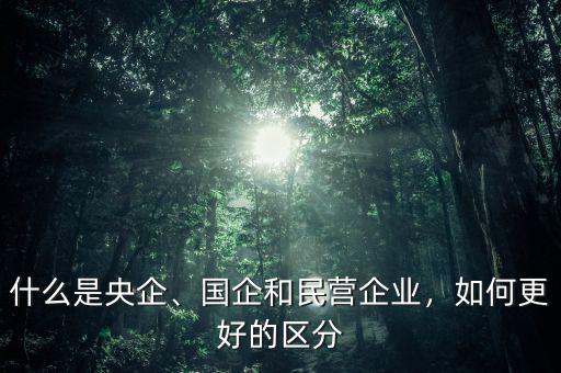 什么是央企、國企和民營企業(yè)，如何更好的區(qū)分
