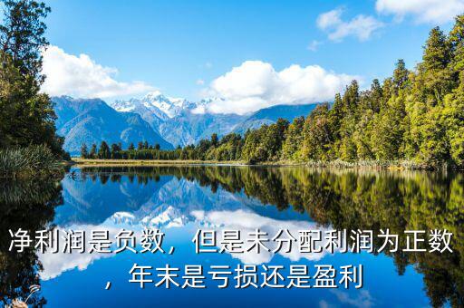 為什么說利潤是個絕對數(shù),凈利潤是負(fù)數(shù)