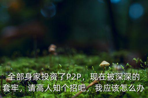 全部身家投資了P2P，現(xiàn)在被深深的套牢，請(qǐng)高人知個(gè)招吧，我應(yīng)該怎么辦