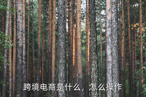 跨境電商是什么，怎么操作