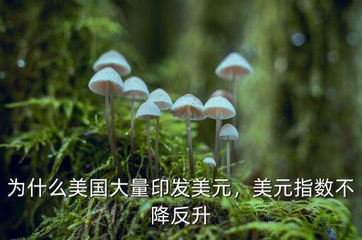 為什么美國(guó)大量印發(fā)美元，美元指數(shù)不降反升