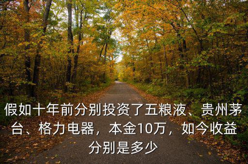 假如十年前分別投資了五糧液、貴州茅臺(tái)、格力電器，本金10萬，如今收益分別是多少