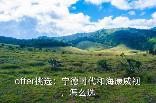 海康威視這家公司怎么樣,寧德時(shí)代和?？低?/></a></span><span id=