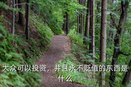 大眾可以投資，并且永不貶值的東西是什么