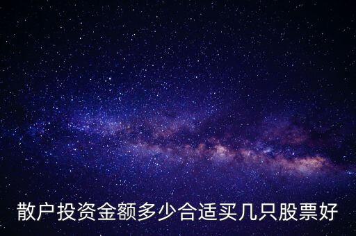 散戶(hù)投資金額多少合適買(mǎi)幾只股票好