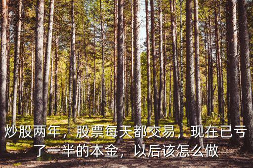 炒股兩年，股票每天都交易，現(xiàn)在已虧了一半的本金，以后該怎么做