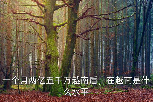 一個月兩億五千萬越南盾，在越南是什么水平