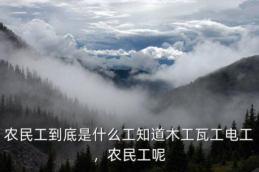 農(nóng)民工到底是什么工知道木工瓦工電工，農(nóng)民工呢
