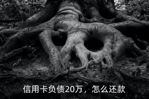 信用卡負債20萬，怎么還款